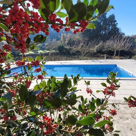 منزل الضيف قلعة بايفا  في Casa Dos Strecht'S المظهر الخارجي الصورة